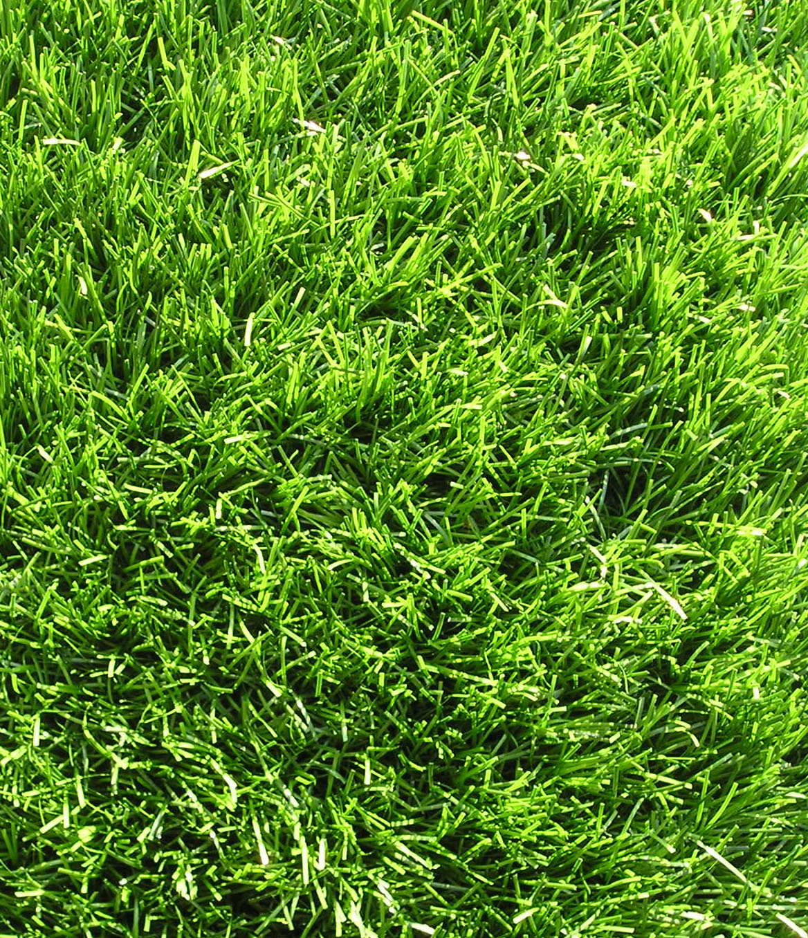 Polyethylene Monofilament Texturized Nylon Thatch Synthetic Grass 80 oz Face Weight